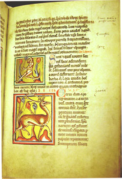 Ashmole Bestiary