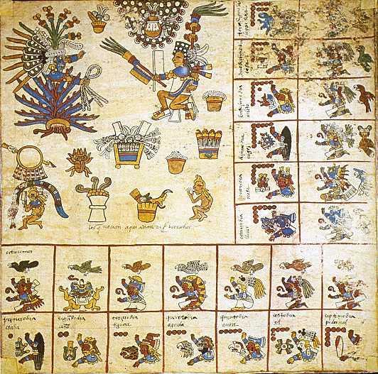 Borbonicus, p. 8.