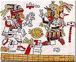 Enter Mixtec Codices