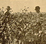 Detail of front cover