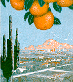 Detail of front cover