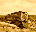 Detail of front cover
