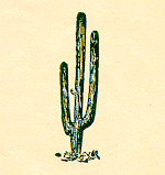 Detail of pamphlet cover